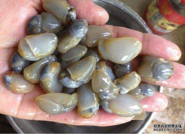 它比“小龍蝦”還受寵，味道鮮美，曾賣5元一斤，現(xiàn)想吃都買不起