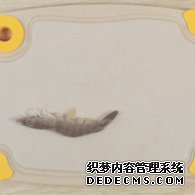 步驟圖:鮮蝦去頭去尾、去殼、去蝦線。蝦的背部和腹部各有一條
