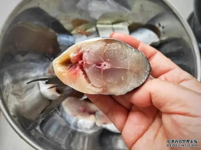 遇上這魚(yú)從不手軟，一買(mǎi)就是10斤，肉嫩刺少營(yíng)養(yǎng)高，每次都吃不夠