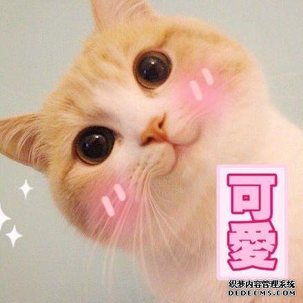 宅在家里也能做的勾魂小吃，每一樣都讓你口水直流