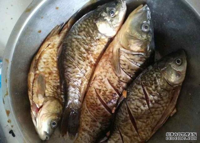 鯽魚我只服這樣做，稍微腌制風干，做好一次可以吃上半年