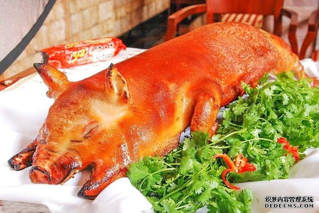 最任性的小店，20年僅賣1種菜，每天賺2000，食客：天天吃也不膩