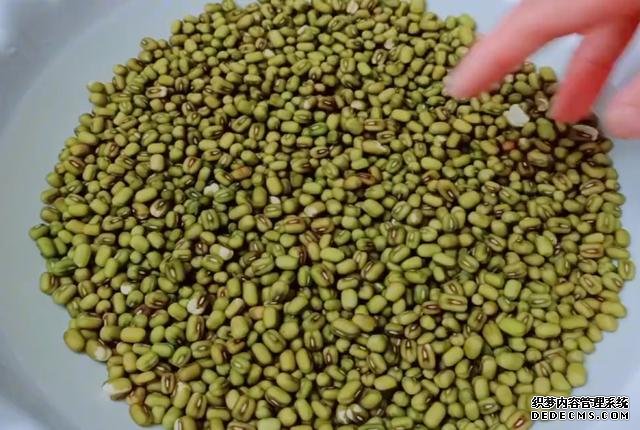 綠豆別熬粥啦，試試這樣做，5元食材做一大盤，孩子吃了還想吃