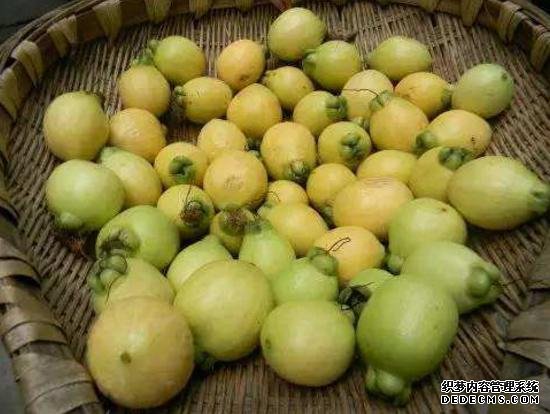 它被稱為“維C之王”，果肉甜而多汁，30元一斤，只有少數(shù)人吃過(guò)