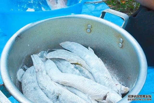 春節(jié)宅家中，捉了盆“水中人參”，寬油大火炸到焦香，很下飯