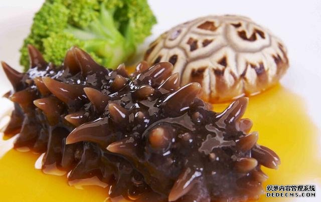 海參還能這樣吃：詳細(xì)泡發(fā)方法和做法步驟，滋補(bǔ)養(yǎng)顏，強(qiáng)身抗衰老