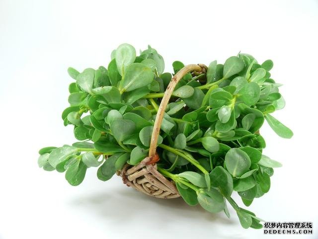 春分時節(jié)這菜要抓緊吃，再晚又得等1年，路邊隨處可見，營養(yǎng)豐富