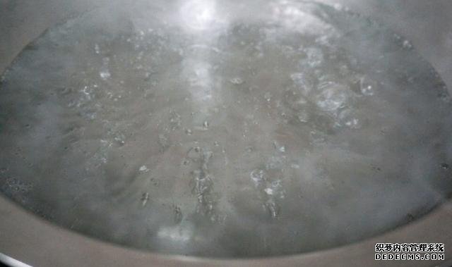 最正宗的蠔油生菜，快手簡單還減肥，2塊錢就能做一盤
