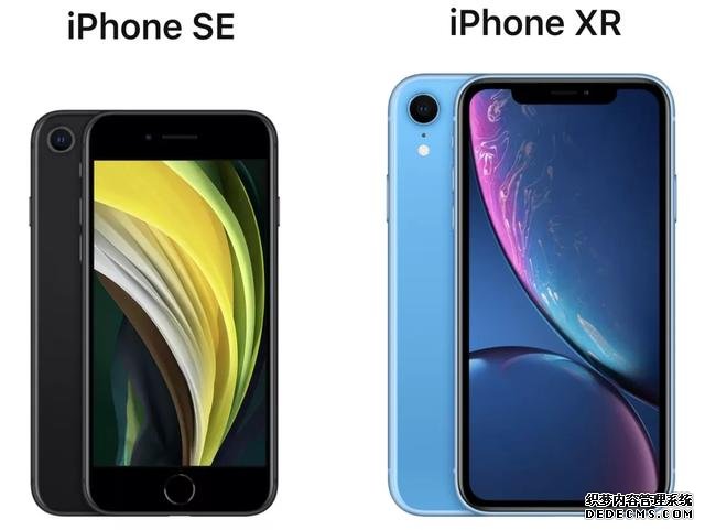 新款iPhone SE和iPhone XR怎么選？