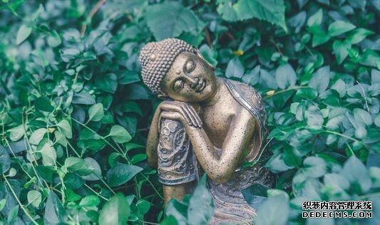 吃得少就能活得更長更健康？研究發(fā)現(xiàn)飲食限制下，壽命和健康壽命并沒有關聯(lián)