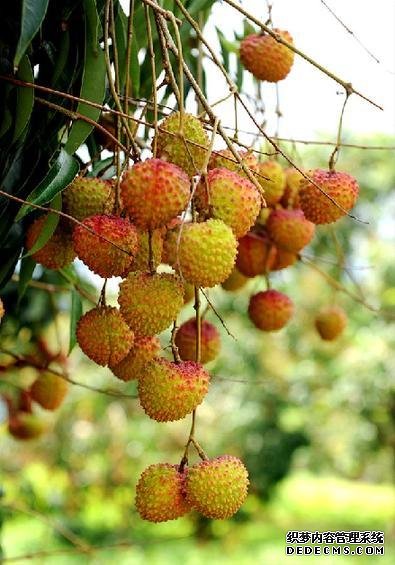 為什么一到夏天，你總是沒胃口？