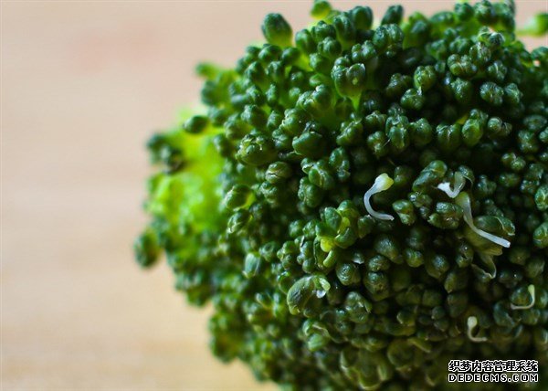 防曬光做表面還不夠，教你4個(gè)食療方，在這個(gè)夏天白白噠~