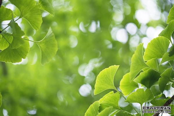 久坐、活動量小的職場人速查！這些指標不合格，很“傷心”