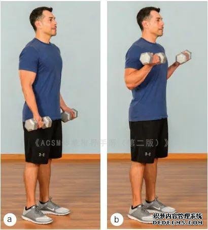 健身房10個(gè)力量訓(xùn)練動(dòng)作教程，詳細(xì)講解，很適合初學(xué)者學(xué)習(xí)