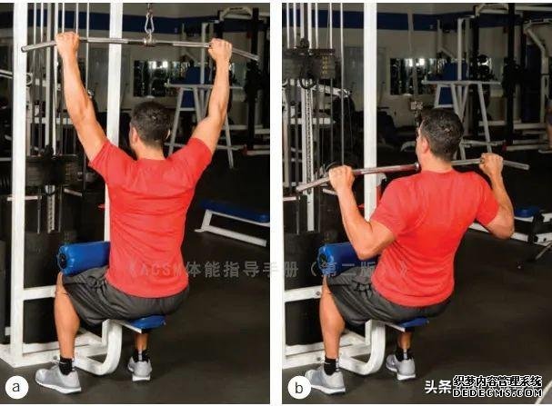 健身房10個(gè)力量訓(xùn)練動(dòng)作教程，詳細(xì)講解，很適合初學(xué)者學(xué)習(xí)