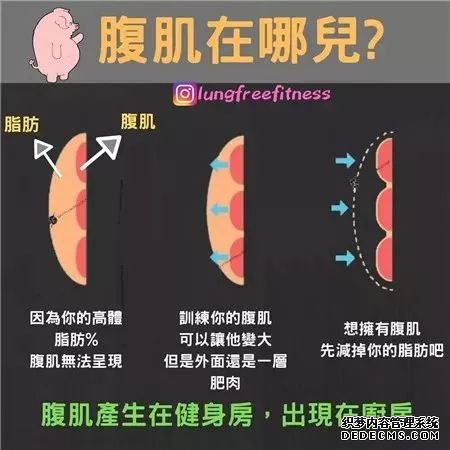 22條健身知識，認真看完相當于上了一節(jié)私教課