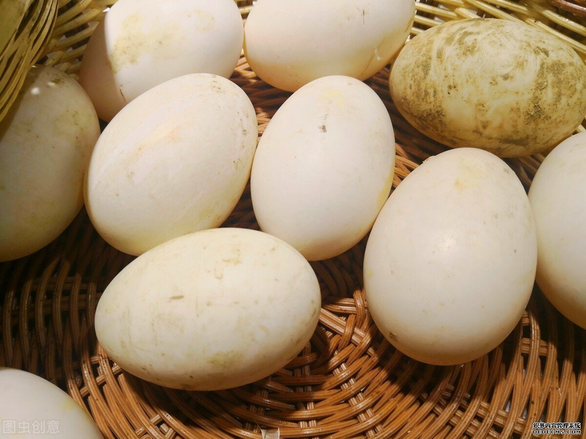 為什么鵝肉常見(jiàn)，但是鵝蛋卻很少見(jiàn)？鵝蛋的營(yíng)養(yǎng)價(jià)值如何？