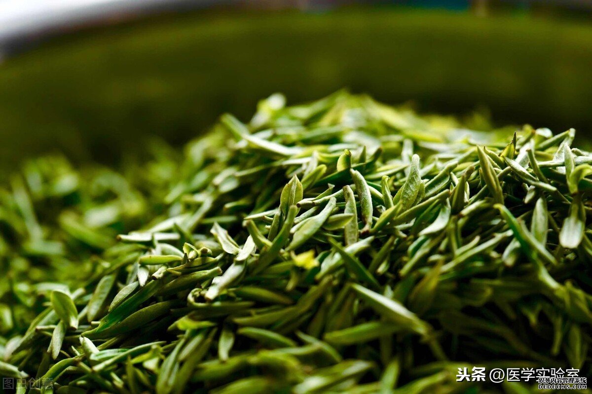 喝茶的“六大禁忌”，會(huì)喝茶也要懂茶，不讓茶傷害到自己
