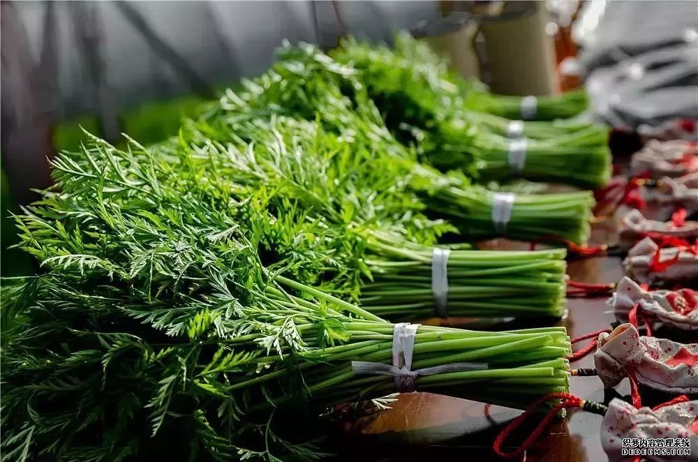 血管斑塊可以消除嗎？做到這四點(diǎn)，血管會(huì)被洗干凈