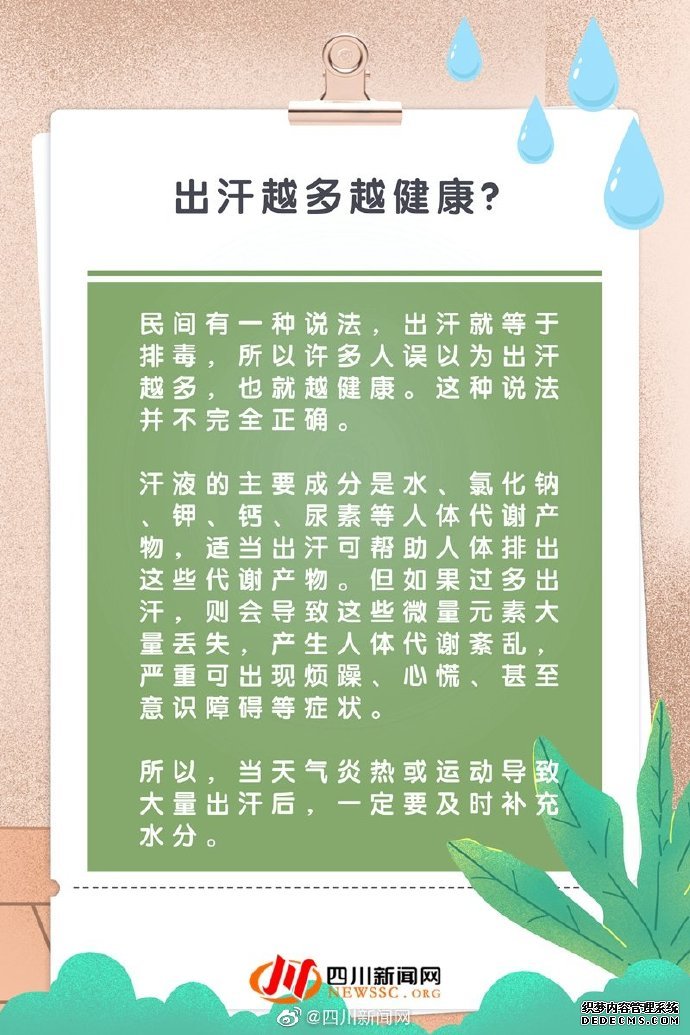 小科普 當代“打工人”養(yǎng)生誤區(qū)指南，了解養(yǎng)生的那些事兒